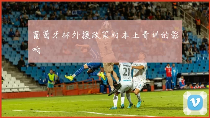 葡萄牙杯外援政策对本土青训的影响