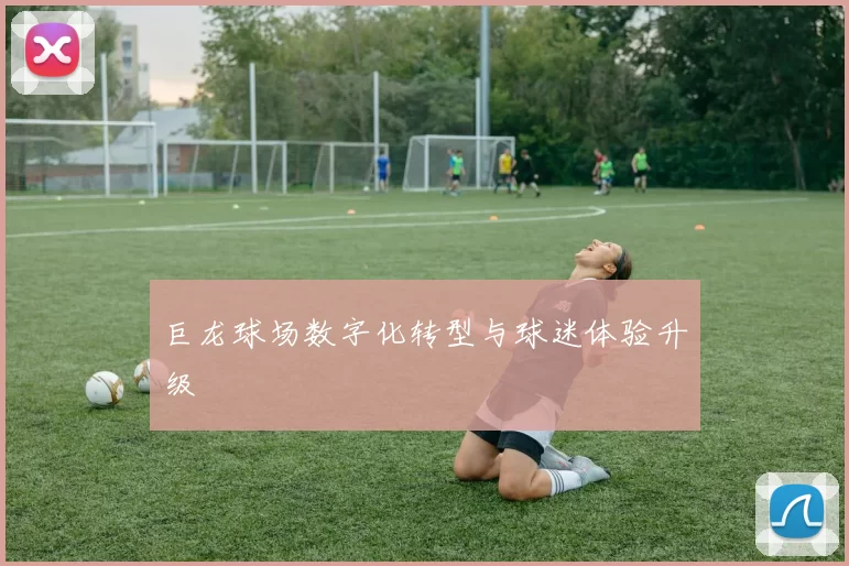 巨龙球场数字化转型与球迷体验升级
