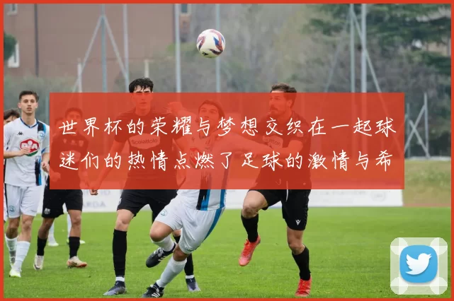 世界杯的荣耀与梦想交织在一起球迷们的热情点燃了足球的激情与希望