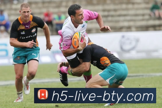 b体育官网发展历程